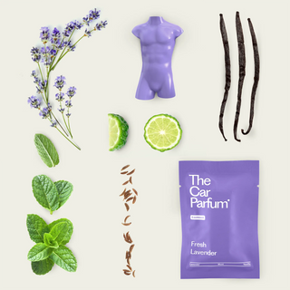 The CarBar - Fresh Collection