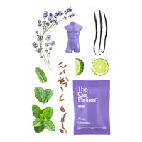 The CarBar - Fresh Lavender Set