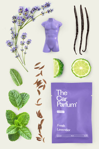 The CarBar - Fresh Lavender Set